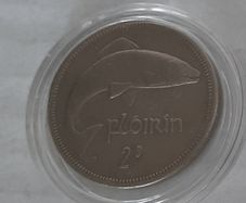 Irish Florin in case