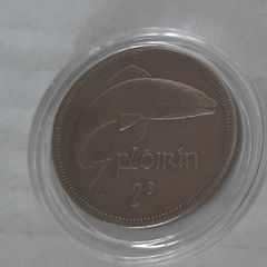 Irish Florin in case