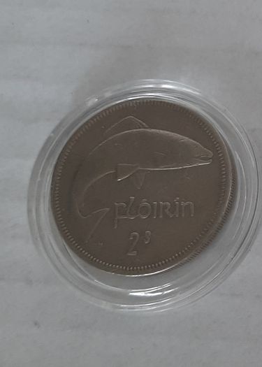Irish Florin in case
