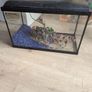 fish tank Image 3