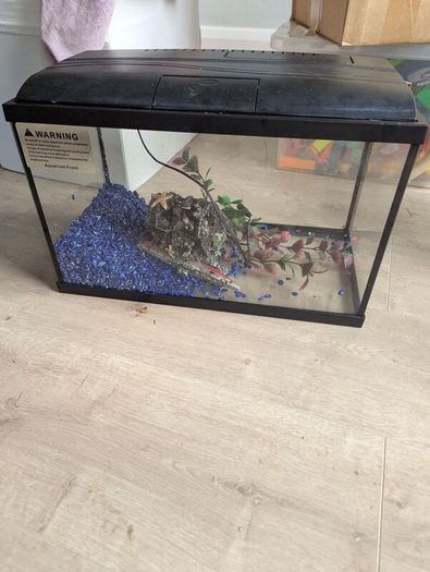 fish tank