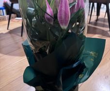 Fresh beautiful oriental lily from Mark Spencer
