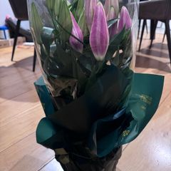 Fresh beautiful oriental lily from Mark Spencer
