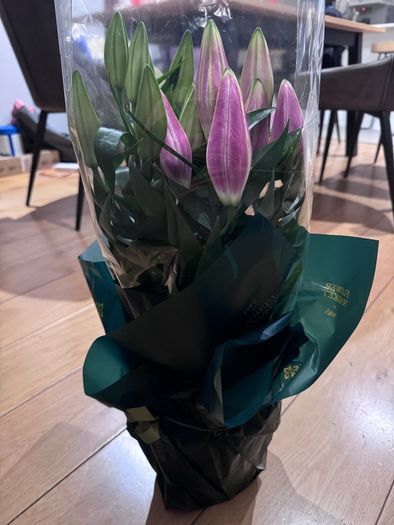Brand New M&S Oriental Lily Bouquet (Starlight Express) - Fresh & Unopened