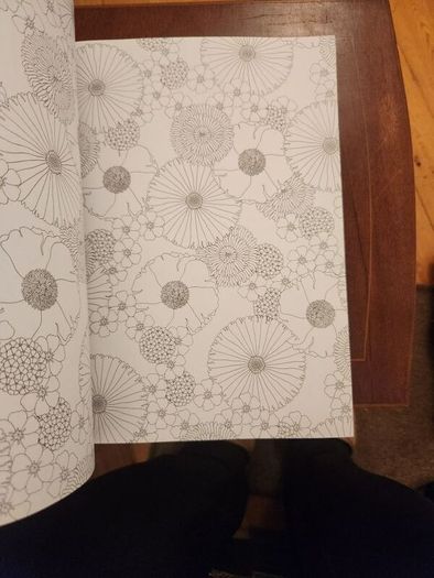 The Flowers And Nature Colouring Book.  Large Volume Paperback In Good Condition.