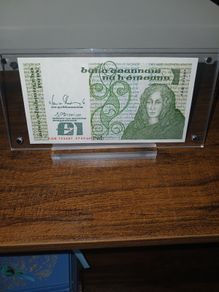 Irish pound note punt with display