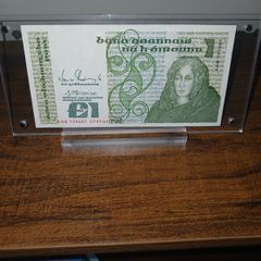 Irish pound note punt with display