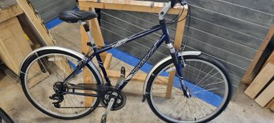 Bike Schwinn
