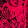 Large pink floral scarf Postage included Image 2