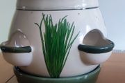 Ceramic Spice Planter Pot: Gardening Container
