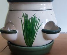 Ceramic Spice Planter Pot: Gardening Container