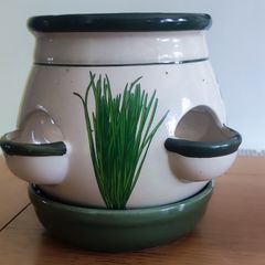 Ceramic Spice Planter Pot: Gardening Container