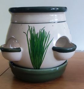Ceramic Spice Planter Pot: Gardening Container