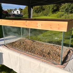 Massive (4ft) Wood & Glass Terrarium