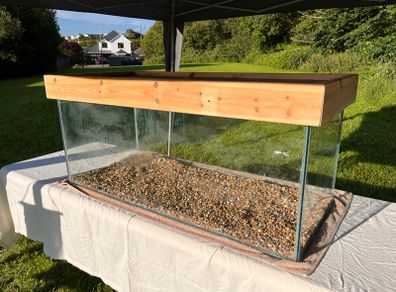 Massive (4ft) Wood & Glass Terrarium