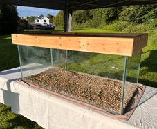 Massive (4ft) Wood & Glass Terrarium
