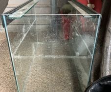fish tank