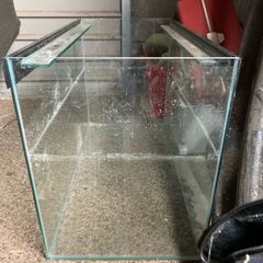fish tank