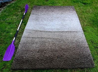 Large Rug Free ( suitable for pet lounging)