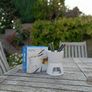 Dipping Fondue Set perfect for chocolate lovers! Image 3