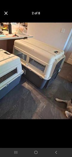 Pet Crate x 2