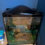 Small fish tank Image 3