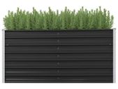 Garden Raised Bed Anthracite 160x40x77 cm Galvanised Steel