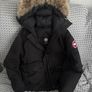 canada goose Image 2