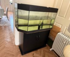 180L Fish Tank Free