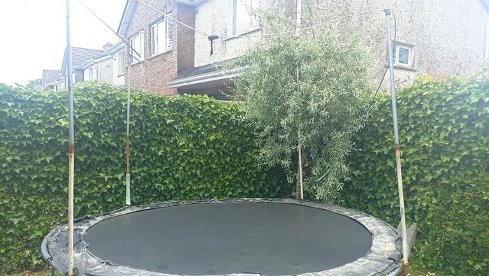 10ft Trampoline