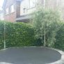 10ft Trampoline Image 3