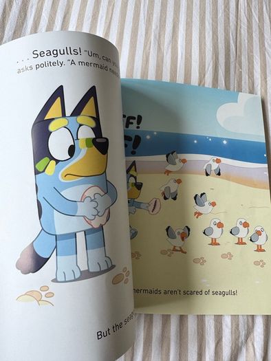 Bluey kids book bundle
