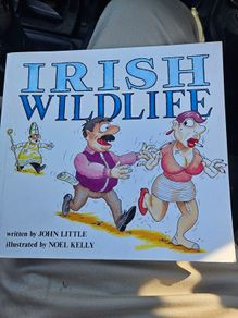 Irish Wildlife. By John Little.  Illustrated By Noel Kelly. First Edition Large Volume Paperback In Good Condition.  See Photos For Same.