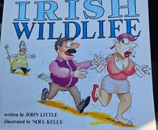 Irish Wildlife. By John Little.  Illustrated By Noel Kelly. First Edition Large Volume Paperback In Good Condition.  See Photos For Same.