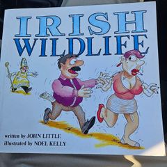 Irish Wildlife. By John Little.  Illustrated By Noel Kelly. First Edition Large Volume Paperback In Good Condition.  See Photos For Same.