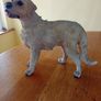 Figure of Labrador Image 2