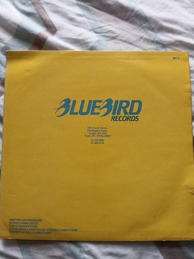 Rain Forest  12" Vinyl Single Paul Hardcastle