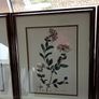 Framed Prints Image 2
