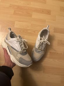 Dior B22s