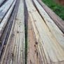 Decking Image 8