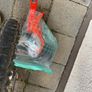 Childs bike with training wheels Image 2