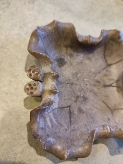 Historique Chinese Soapstone Lotus Leaf Scholar's Brush Washer Tray Dish Hand Carved