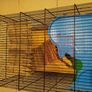 Large hamster cage - gerbil mouse rat rabbit guinea pig crate kennel  house Image 5