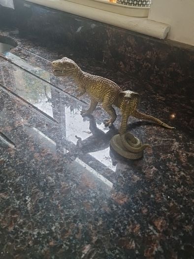 Animals