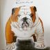 Bulldog666