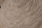 White rose ruffle cushions