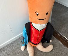 toy