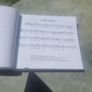 Boga Boga. Various Basque artists. CD and sheet music book. Image 4