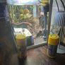 Aquarium Image 2