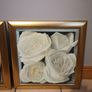 Pictures - Image 2